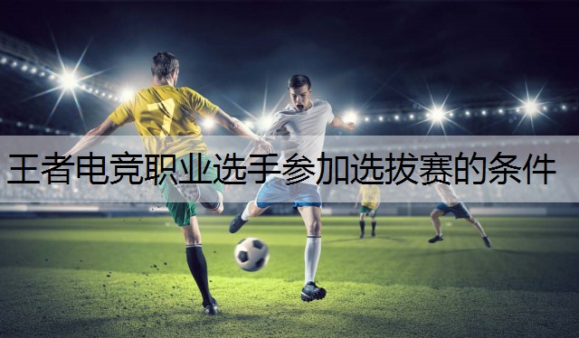 王者电竞职业选手参加选拔赛的条件