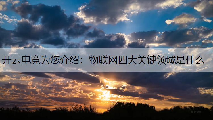 开云电竞为您介绍：物联网四大关键领域是什么