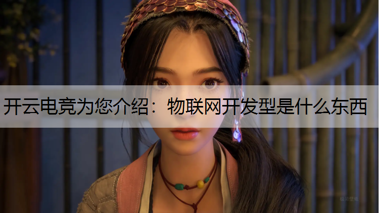 开云电竞为您介绍：物联网开发型是什么东西