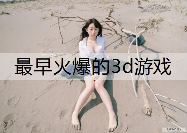 最早火爆的3d游戏