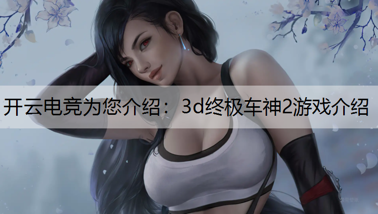 开云电竞为您介绍：3d终极车神2游戏介绍