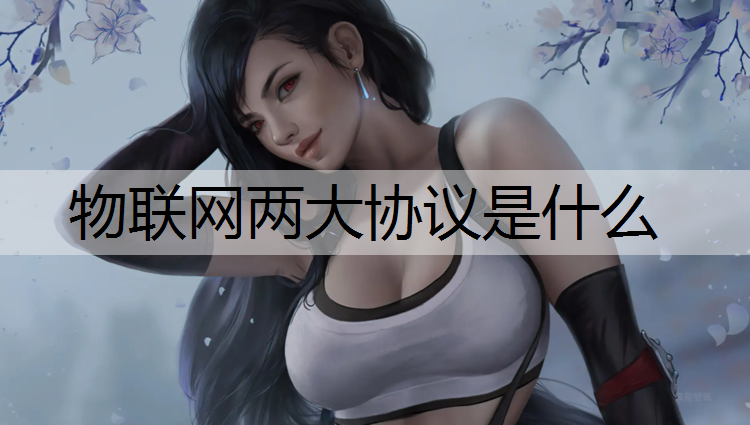 物联网两大协议是什么