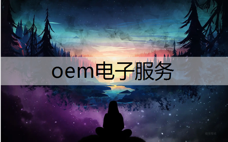 oem电子服务