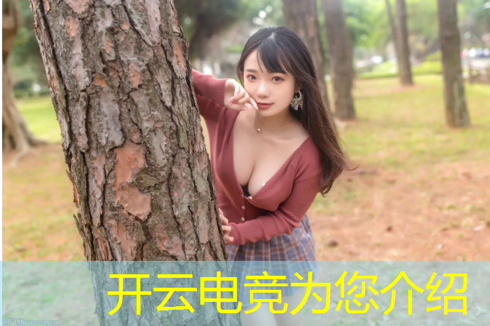 kaiyun·开云电竞为您介绍：2015电竞赛事赞助商