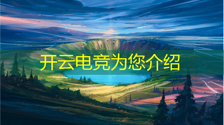 开云电竞为您介绍：中国首届电竞赛事名单公布