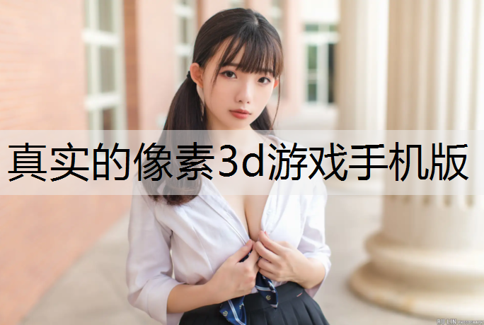 真实的像素3d游戏手机版