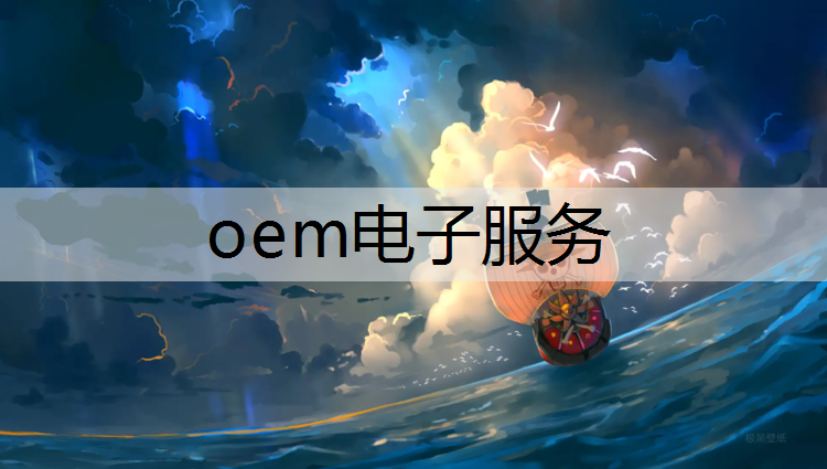 oem电子服务